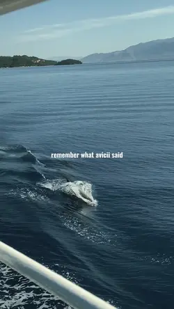 remember what avicii
