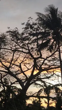 daylight