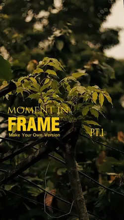 DAILY VLOG CINEMATIC
