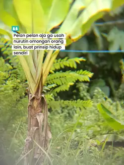 pelan pelan aja