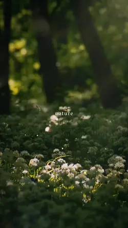 nature