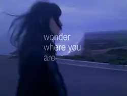 Wonder