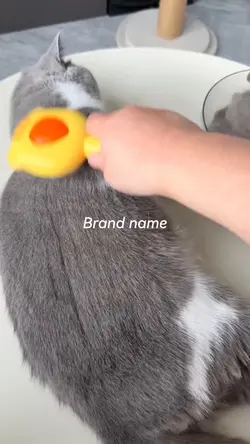 Pet Supplies