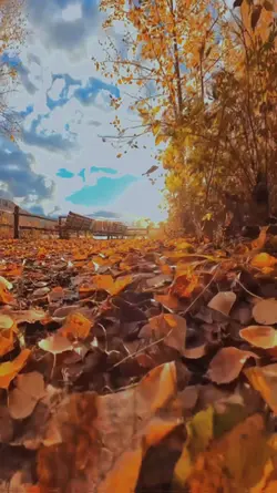 Best slowmotion