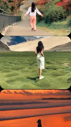 Cinematic roll