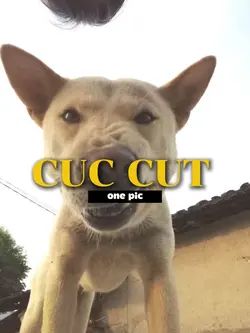 Cục Cưng
