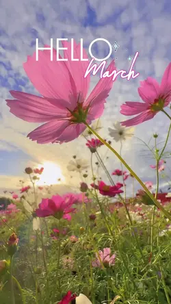 hello march