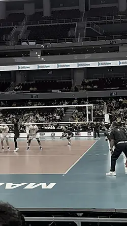 highlights 