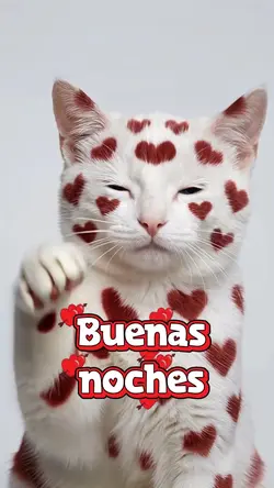 Buenas noches 