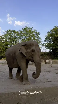 Zoo