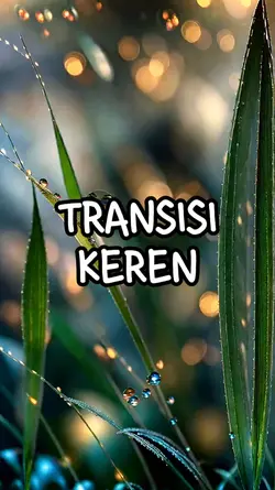 transisi oke 