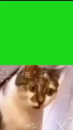 Confused 