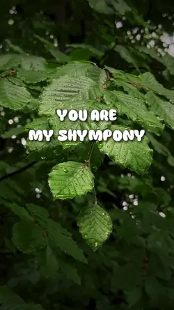 you are my shympony