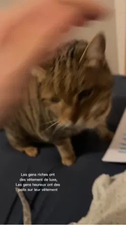 Chat