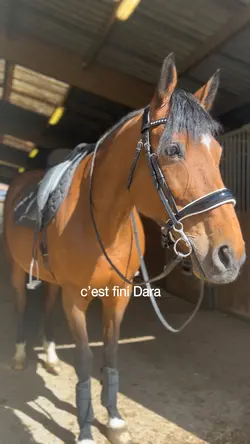 C’est fini 