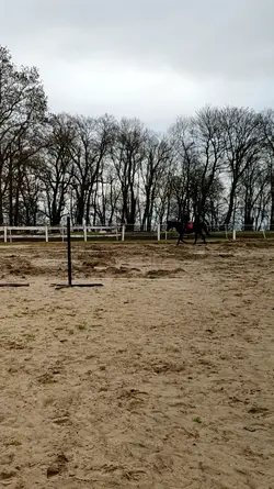 z wczoraj v. 2