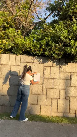 Papel en la pared 