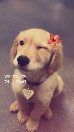 pretty little baby