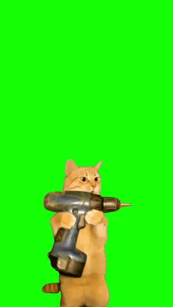 Gato Taladrando