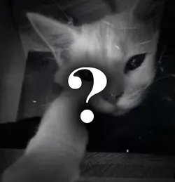 ?