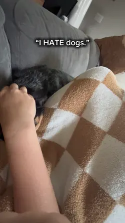 🐶
