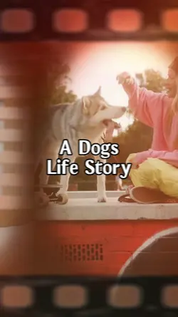 Dogs story