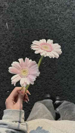 cũng lâu rồi ha...