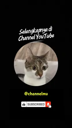 Closing video