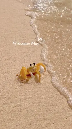 Welcome May