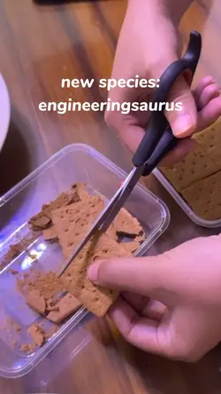 graham ng engineer