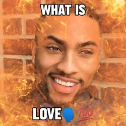 what is love -meme-