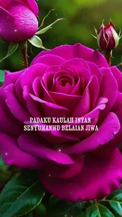janganlah merajuk...