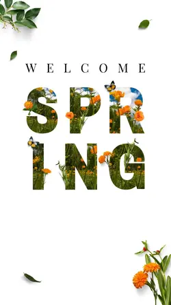 Hello Spring