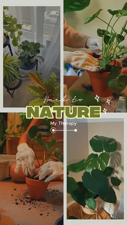 Back to nature