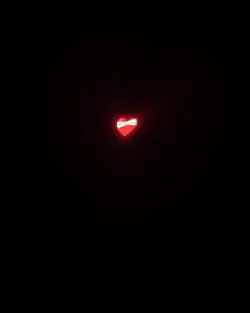 pikon 