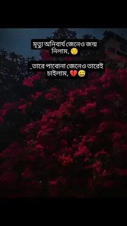 Bangla template