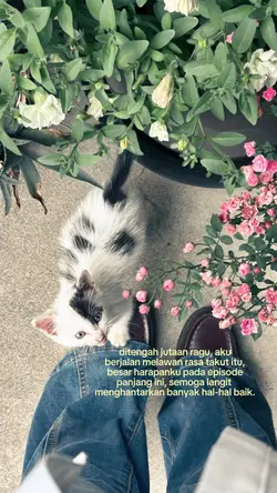 terbelah jadi dua