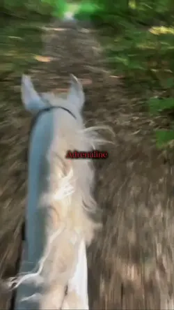Adrenaline 