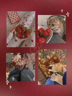 cute frame