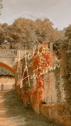 Hello Autumn 🍁