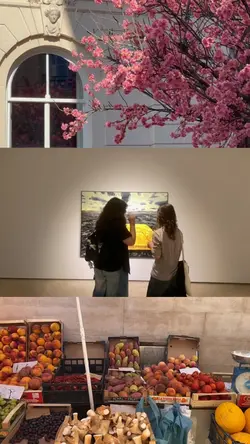 3 grid 9 video