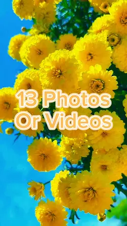 13 Photo Slides