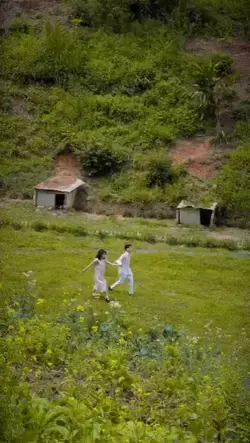mẫu HQ 