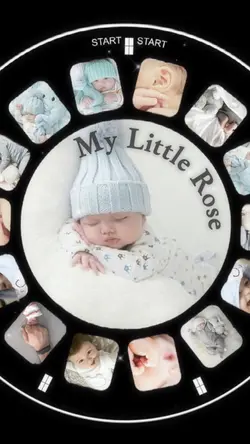 My Little Rose 平井大