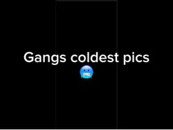 Gang