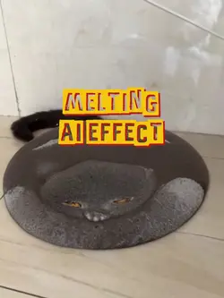 MELTING AI FILTER🫠
