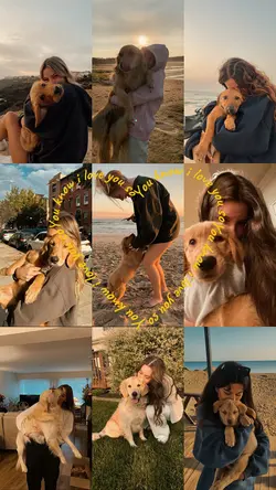 Love my pet