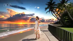 Aesthetic beach
