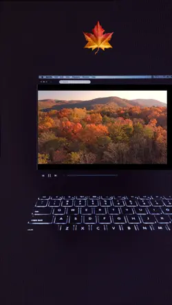 Herbst am Laptop 🍁