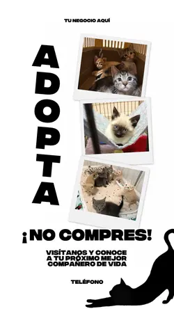 ADOPTA